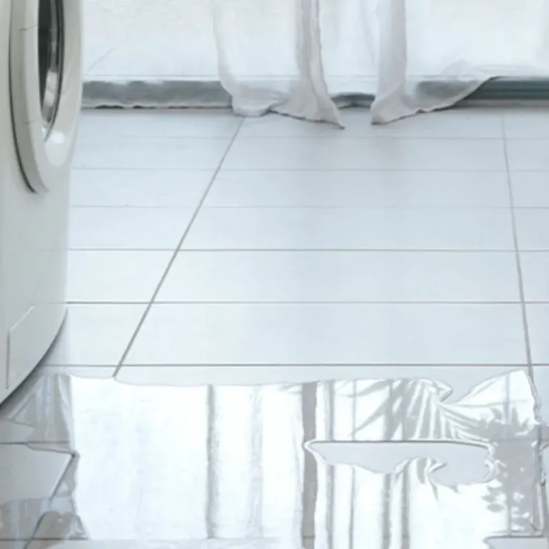 Appliance Leak Cleanup in Tahoma, CA