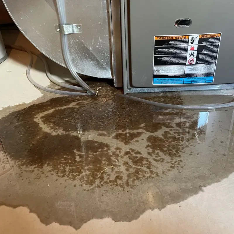 Pipe Burst and Leak Restoration in Tahoma, CA