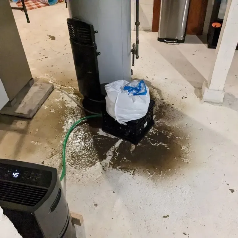 Sewage Backup Cleanup Service in Tahoma, CA